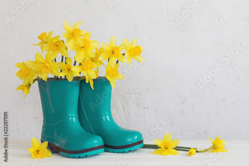 Fototapeta Naklejka Na Ścianę i Meble -  rubber boots and spring flowers on white background