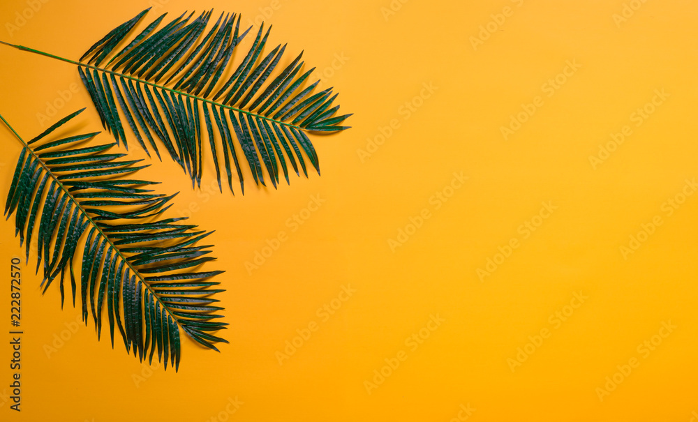 palm exotic leaves on a yellow background, concept of a beach holiday