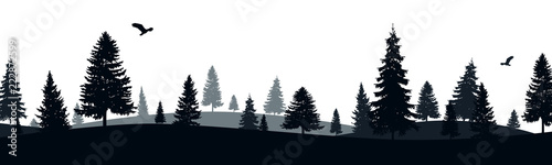 Forest landscape banner