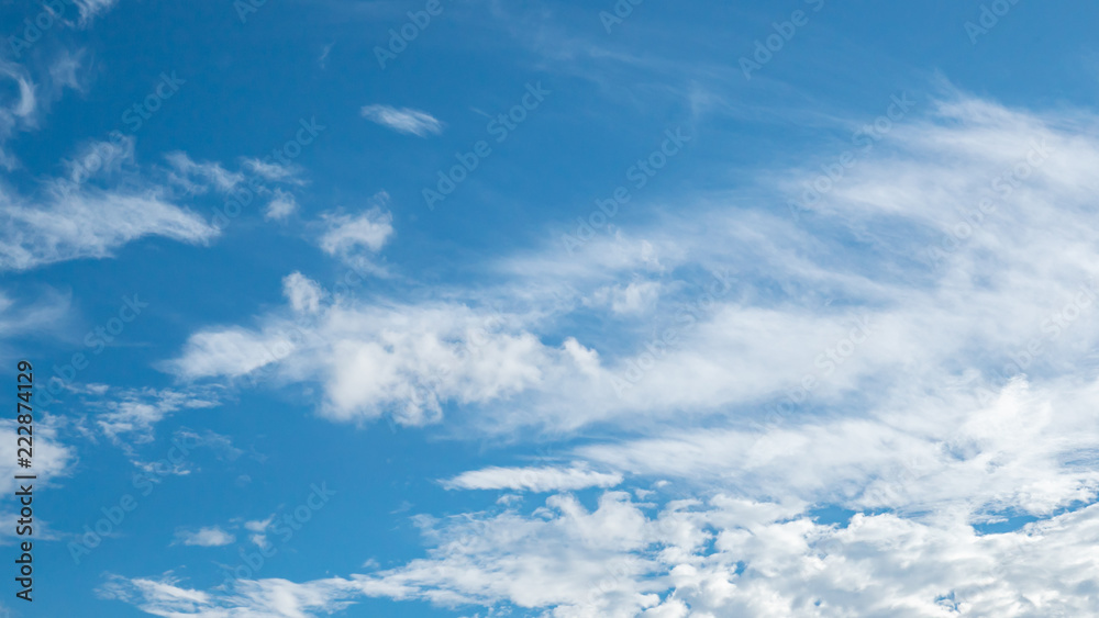 Fototapeta premium 青空・雲