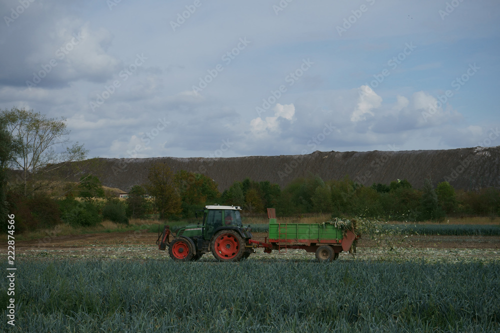 Fototapeta premium Traktor mit Häksler auf dem Feld