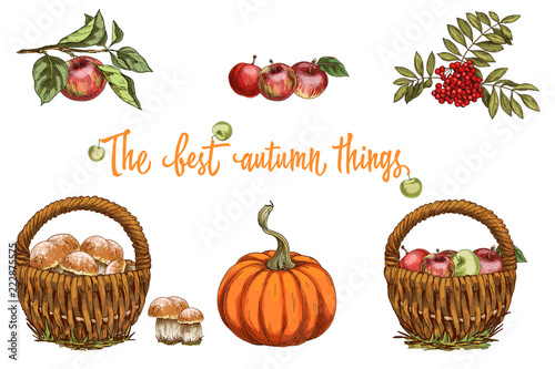 Set of autumn objects isolated on white background. Mushrooms  apple  pumpkin  rowanberry. Harvest collection illustration.