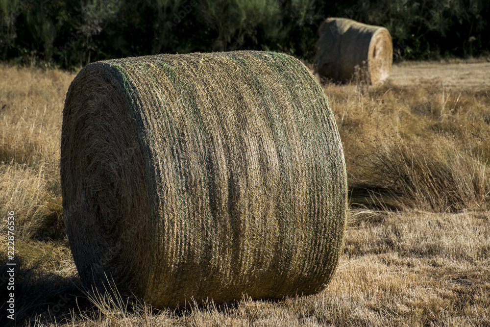 straw role in the field