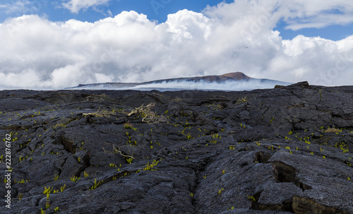 The black lava fields around Puu Oo, with new plants growing on the lava and a helicopter is hovering over Kilaueas most acitve crater, Big Island, Hawaii. photo