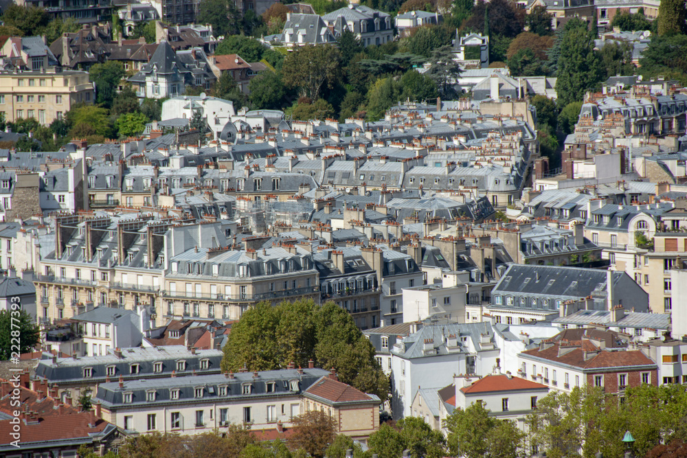 Aerial view of parisian buildings, Paris, France