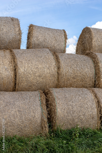 Straw in bales at an asphalt road in the countryside. Stacks of round bundles on the field.