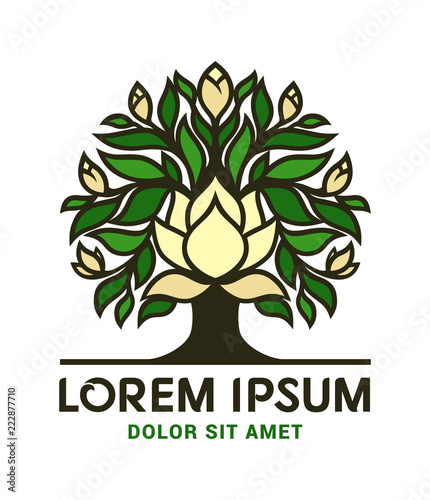 Magnolia tree icon with big flowers and buds