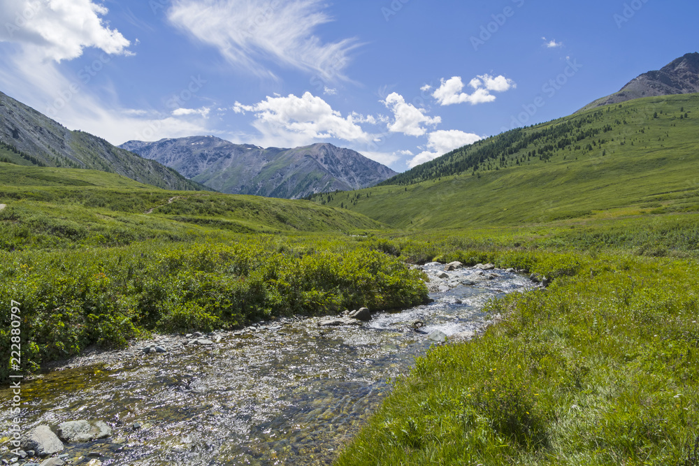 Upper reaches of a mountain river. Altai Mountains, Siberia, Russia.