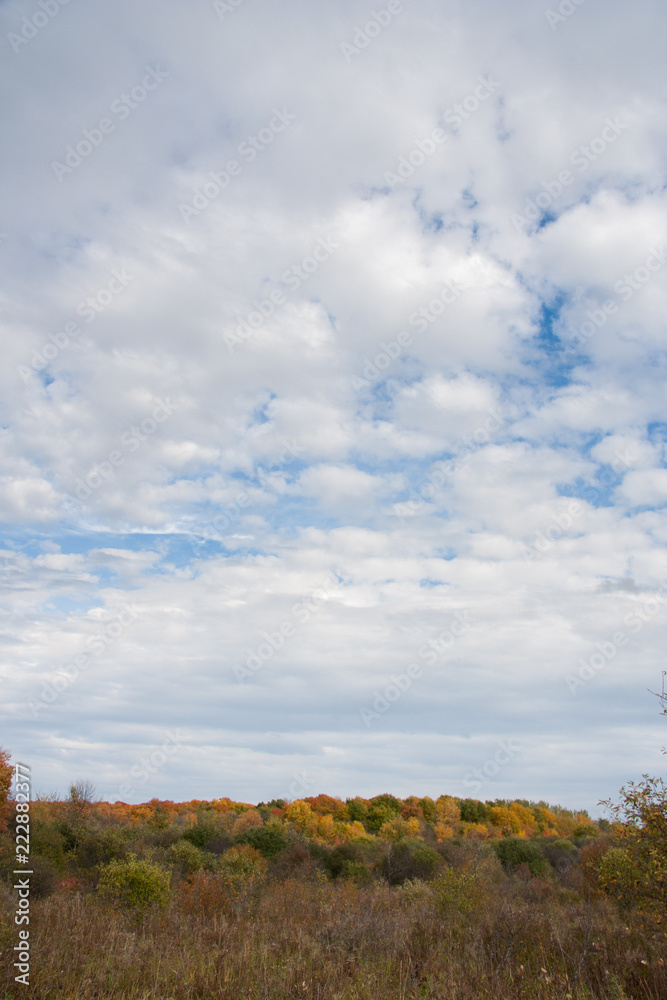 The autumn sky over trees with fall foliage The autumn sky over trees with fall foliage