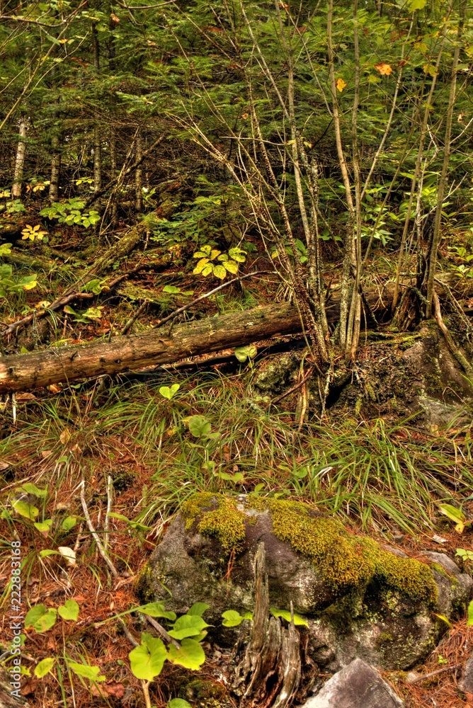 The Boundary Waters Canoe Wilderness Area is a Natural Gem in Northern Minnesota The Boundary Waters Canoe Wilderness Area is a Natural Gem in Northern Minnesota