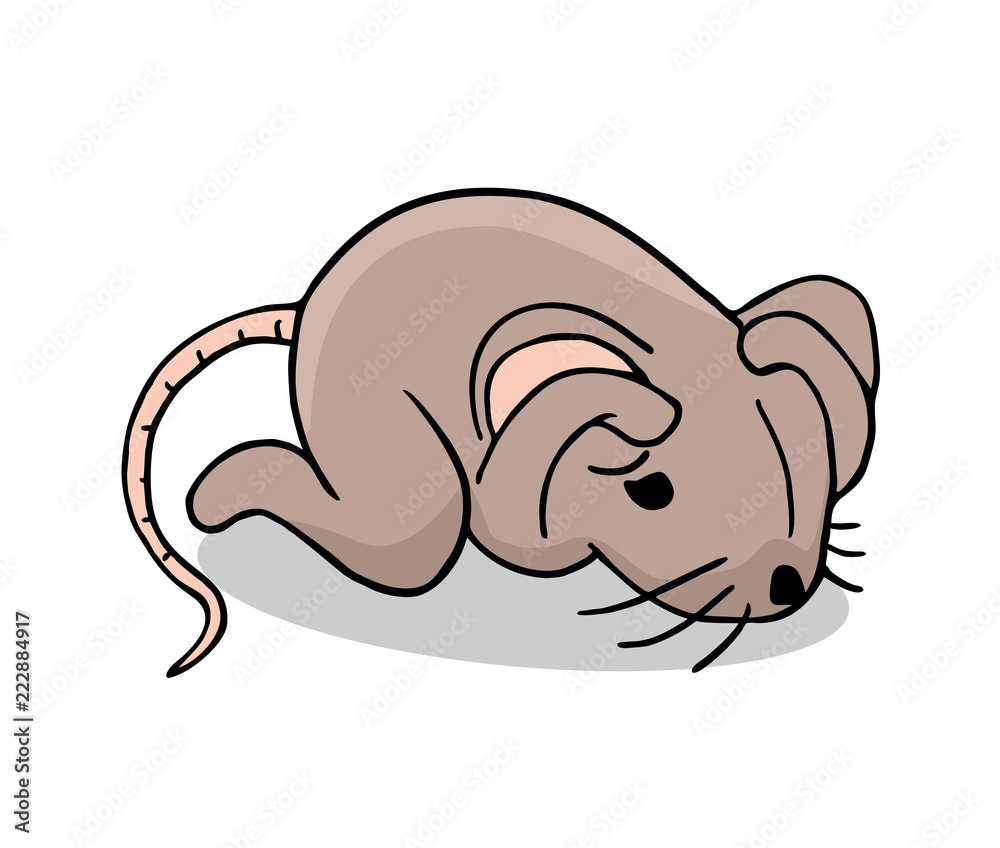 afraid rat illustration afraid rat illustration