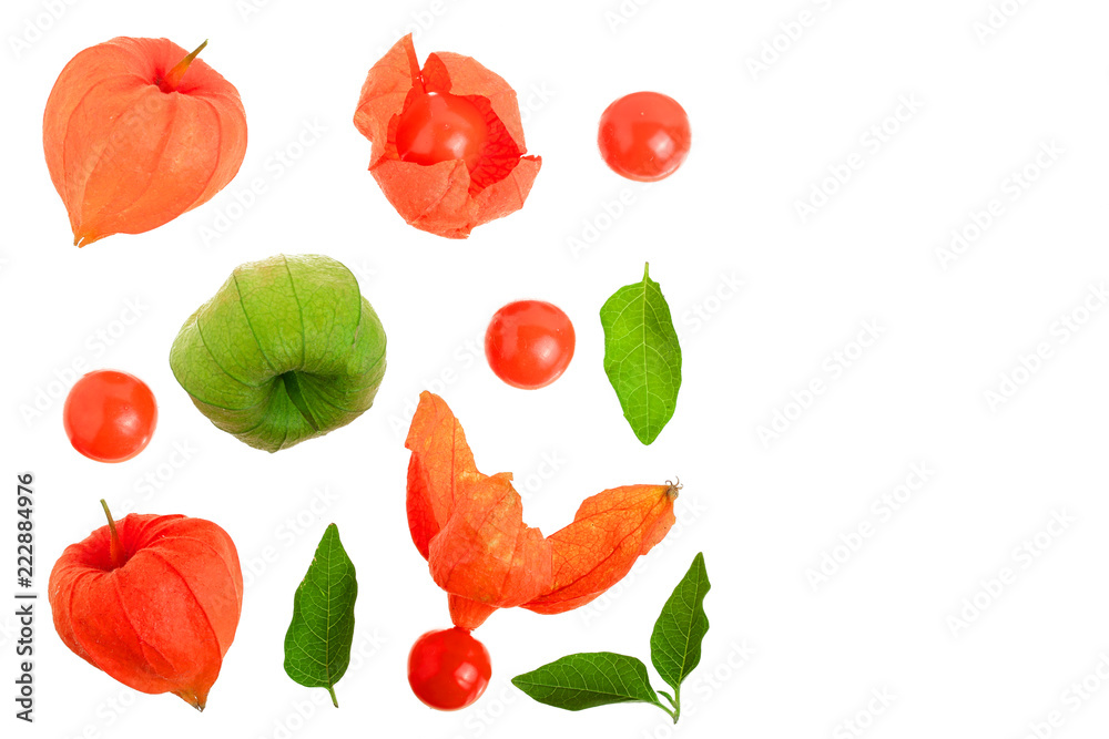 Fototapeta premium physalis with leaves isolated on white background with copy space for your text. Top view. Flat lay pattern