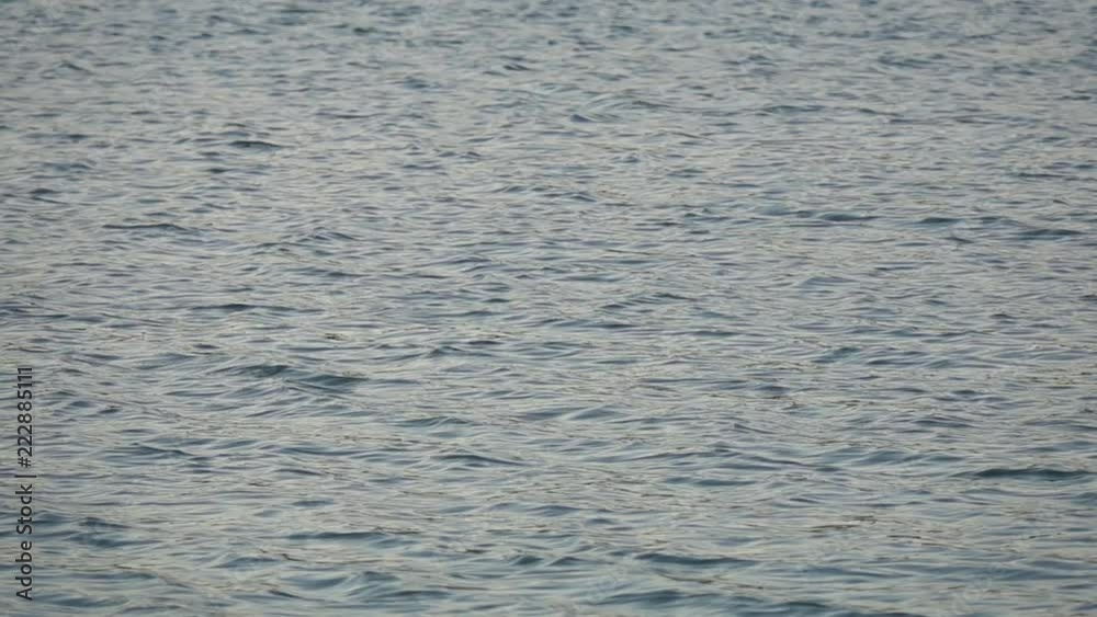Ripply water surface with waves at daytime slow motion Ripply water surface with waves at daytime slow motion
