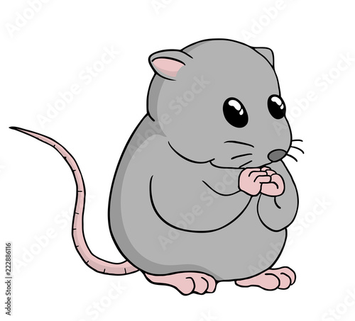 Funny rat illustration