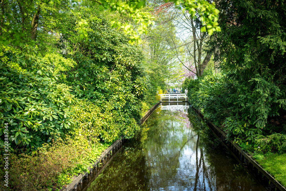 Netherlands,Lisse, Canal in a forest Netherlands,Lisse, Canal in a forest