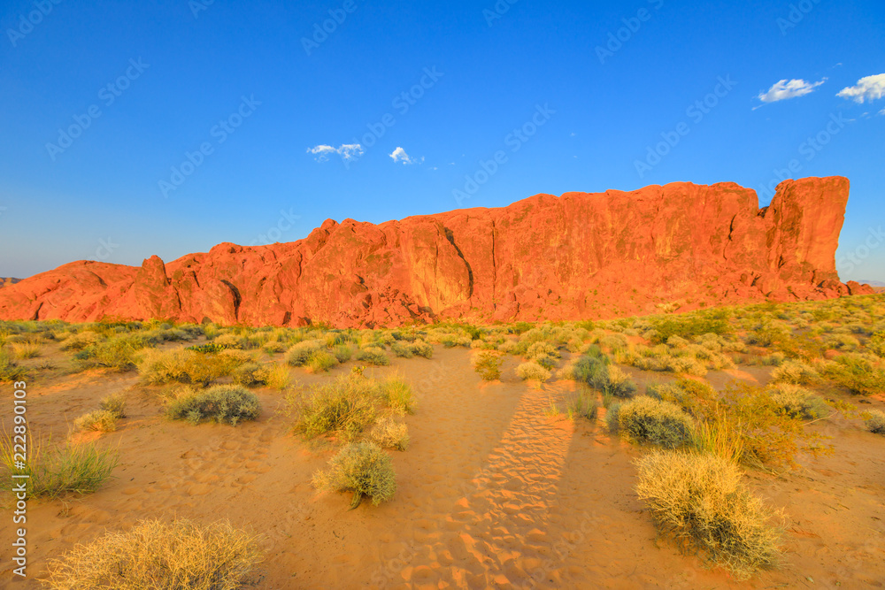 A sandy path to begin Fire Wave Trail with sandstone cliffs at Valley of Fire State Park in Nevada, United States in Mojave desert. Sunset colors.