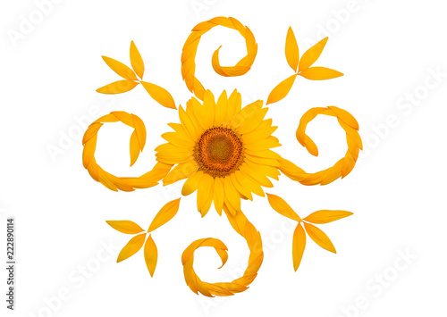 Fototapeta Naklejka Na Ścianę i Meble -  Creative idea flower of a sunflower and petals flying in the wind. Abstraction and wave. Floral pattern. Agricultural topics. Place for text. Flat lay, top view