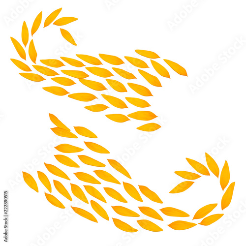 Fototapeta Naklejka Na Ścianę i Meble -  Creative idea flower of a sunflower and petals flying in the wind. Abstraction and wave. Agricultural topics. Place for text. Flat lay, top view. Floral pattern