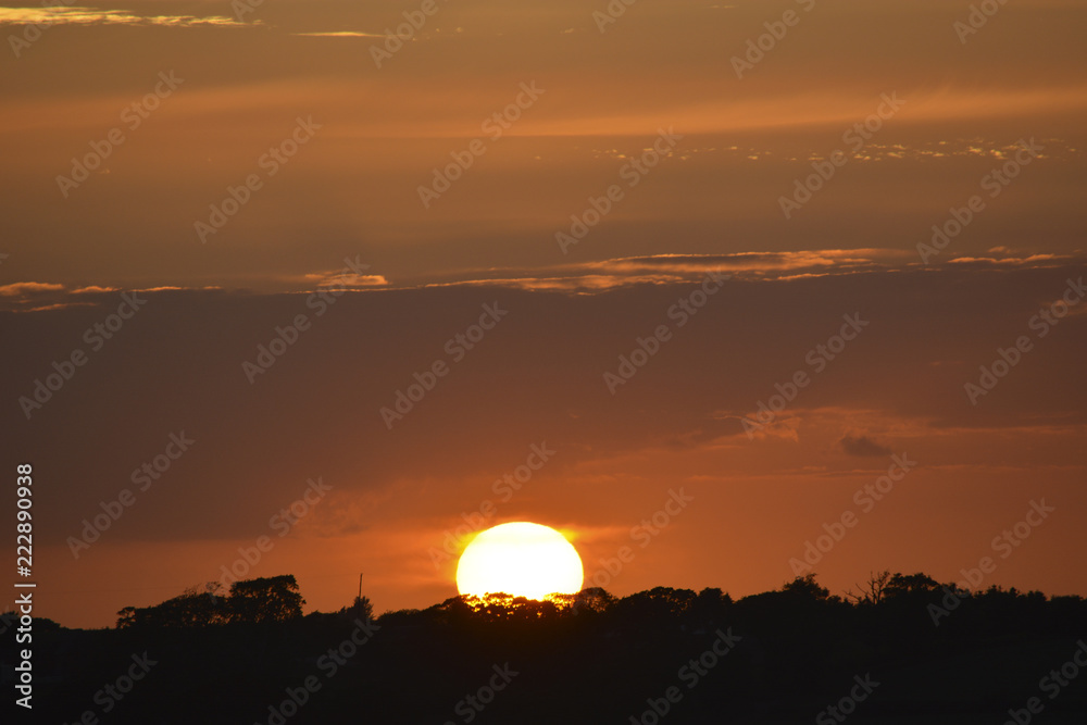 Sun Setting on the Horizon and Trees in Silhoutte Sun Setting on the Horizon and Trees in Silhoutte