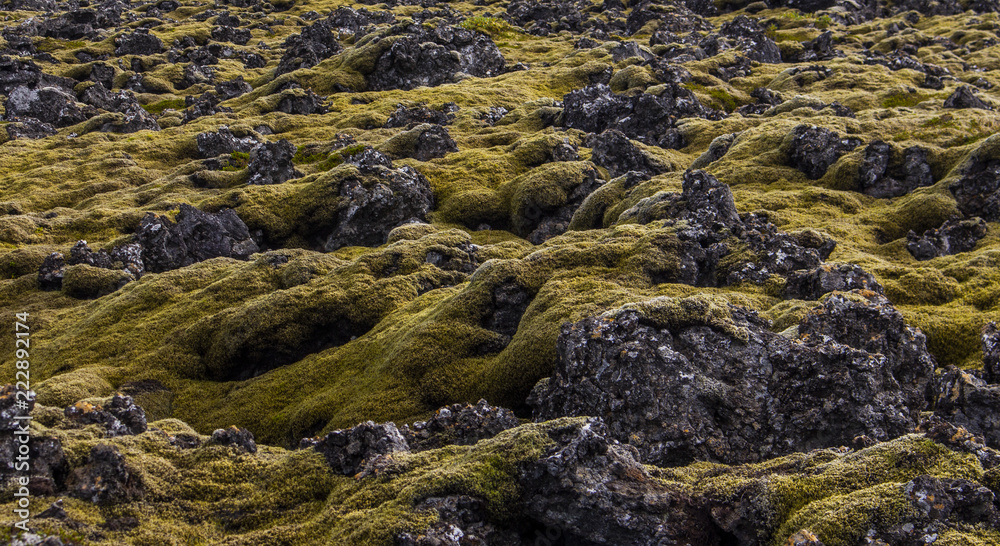 volcano lava rock and moss