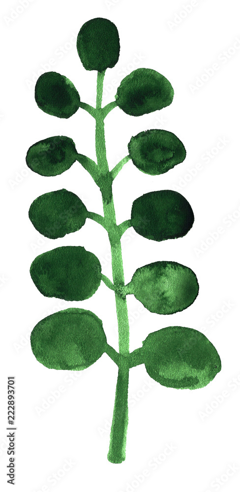 Watercolor green leaf Watercolor green leaf