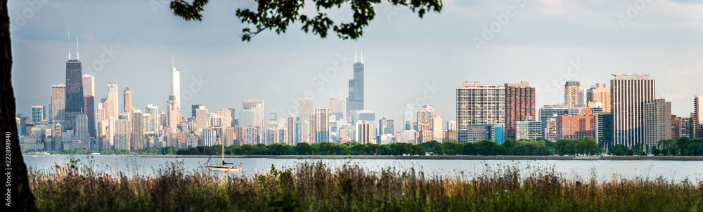 Gorgeous panoramic view of the Chicago skyline and architectural skyscrapers across the water of Lake Michigan framed by tall grasses and tree near Montrose beach.