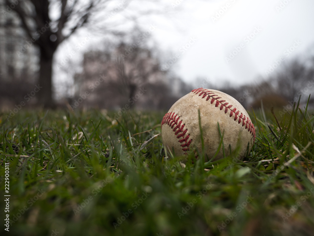 Close up sports background image of an old used weathered leather baseball ball laying in the grass field outside showing intricate detailing and red laces.