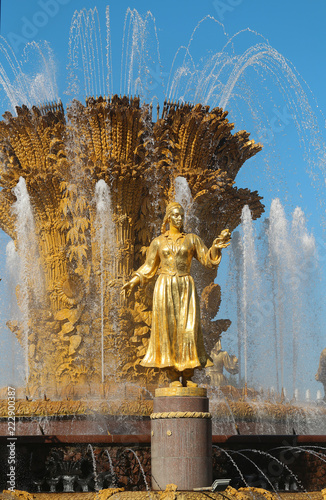 Photo of a macro golden fountain Friendship of peoples