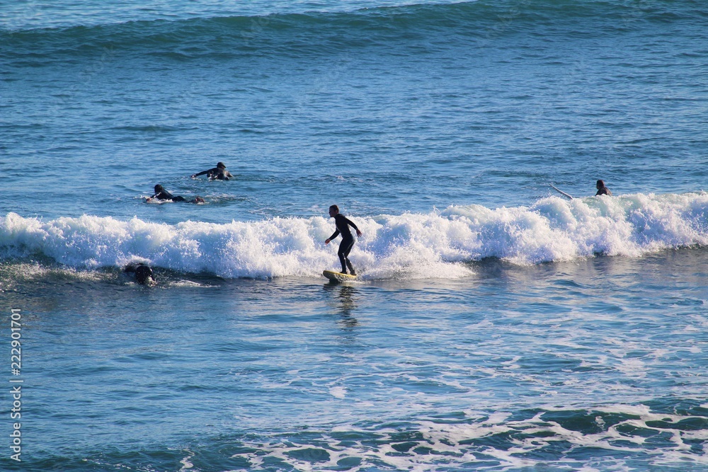 Fototapeta premium Five Surfers catching waves at Shelly Beach, Phillip Island, Australia