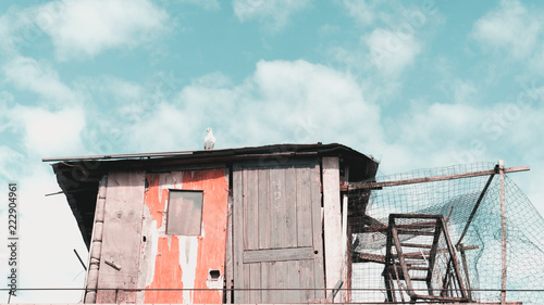 pigeon house on the roof