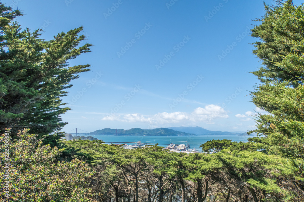View of San Francisco bay with the Golden Gate bridge, piers, and hills beyond framed by evergreen trees.