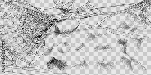 Vector illustration Halloween spider web isolated on transparent background. Hector venom cobweb set. Halloween monochrome spider web