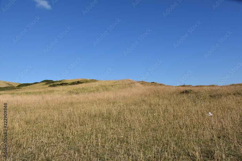 Blue sky and white clouds, vast expanse of grassland