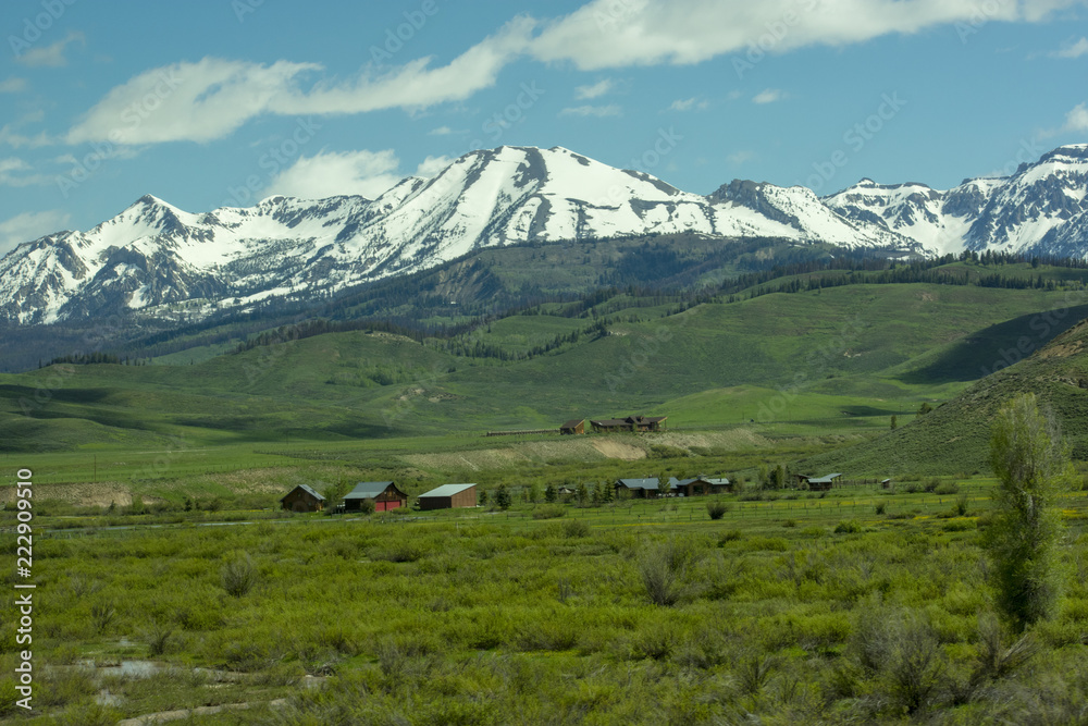 Home on the range