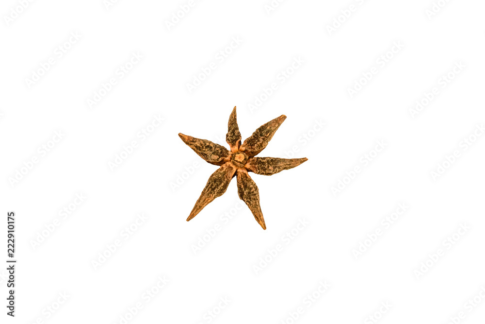 Star anise spice isolated on a white background Star anise spice isolated on a white background
