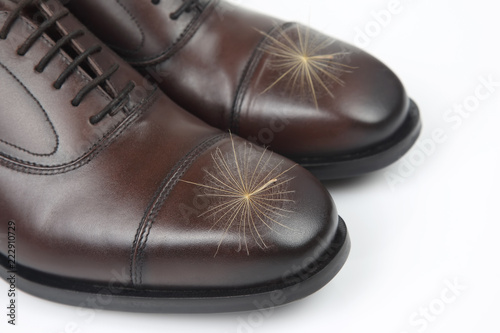 Classic men's brown Oxford shoes on white background. Leather shoes