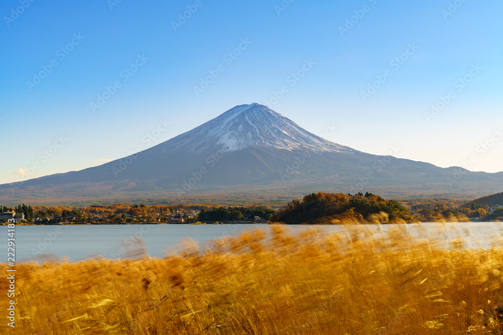 Mount Fuji from lake Kawaguchi, Fujikawaguchiko, Yamanashi, Japan.