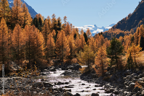 Beautiful alpine autumn landscape.