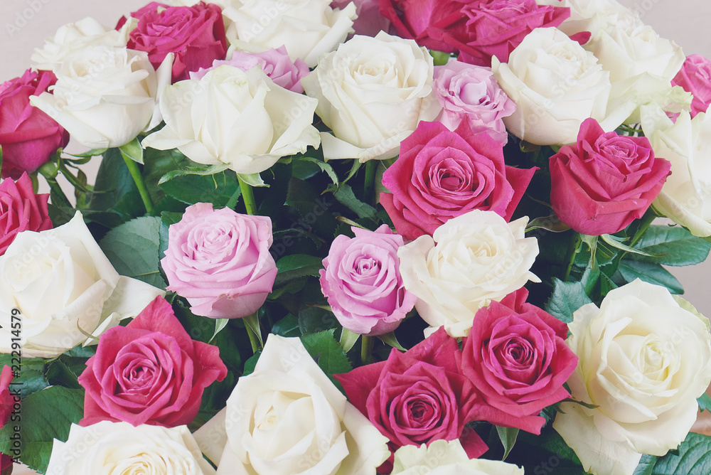 Obraz premium A large bouquet of red, pink and white roses close-up. Background of roses. Congratulations on the holiday. Love and tenderness.