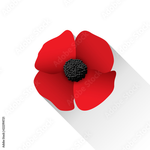 Fototapeta Naklejka Na Ścianę i Meble -  Red Poppy Flower