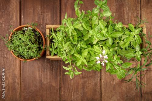 Overhead photo of pots with aromatic garden herbs, with copy space