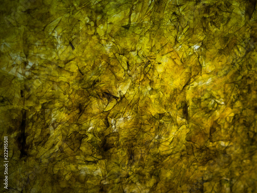 Dried Sheet Of Nori Seaweed, Japanese Cuisine Ingredient To Wrap Rolls Of Sushi Or Onigiri. Toned Texture Macro Image. Abstract Organic Background.
