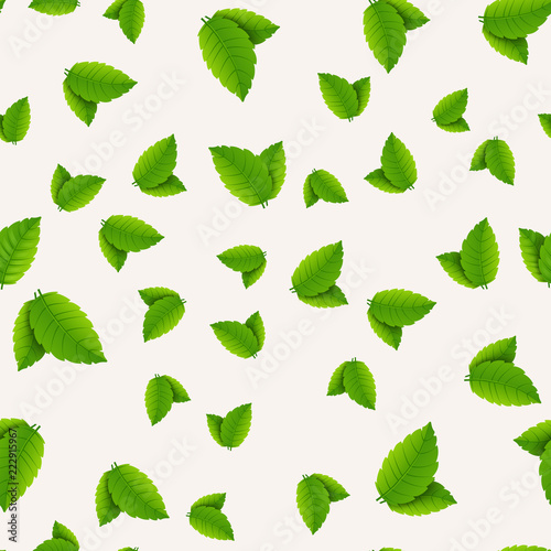 Mint organic seamless pattern. Vector cooking natural mint design texture