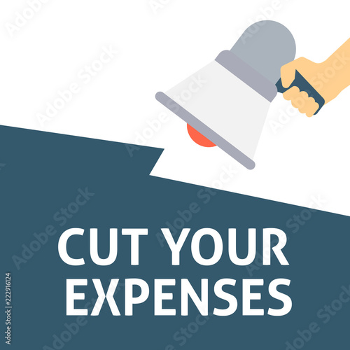 CUT YOUR EXPENSES Announcement. Hand Holding Megaphone With Speech Bubble