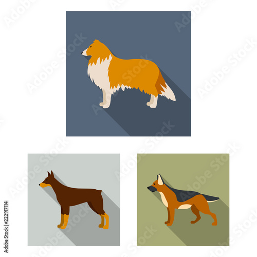 Dog breeds flat icons in set collection for design.Dog pet vector symbol stock web illustration.
