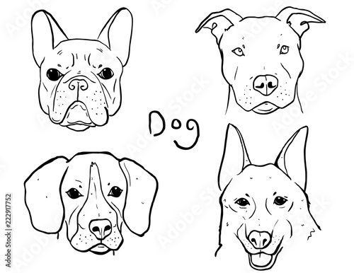 dog drawing, American French Bull Dog, American Pit bull Terrier, Beagle, American Shepherd