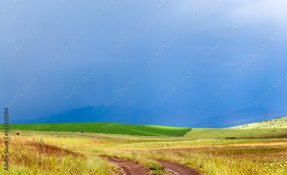Fototapeta premium storm storm in the wheat field