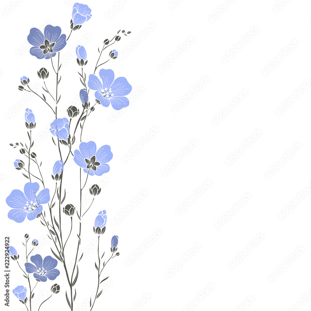 Flax flowers on a white background with place for text.  Greeting card, invitation or isolated elements for design.