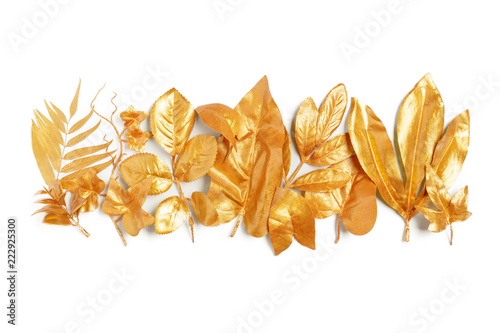 golden leaf design elements.