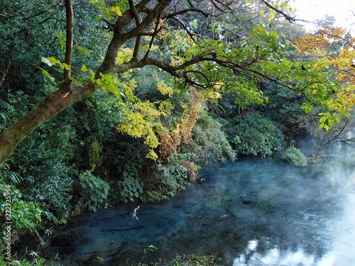 冬の朝、柿田川湧水に漂う朝靄
